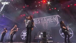 Testament - Live Rockpalast - Summer Breeze Festival -  August 15, 2019 háttérkép