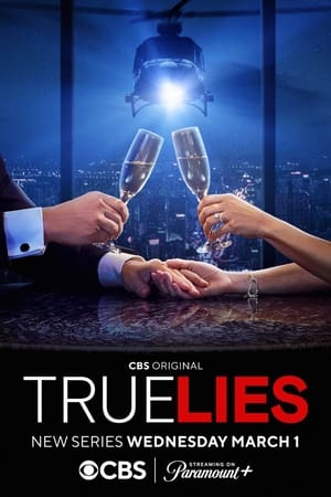 True Lies - Két tűz között poszter