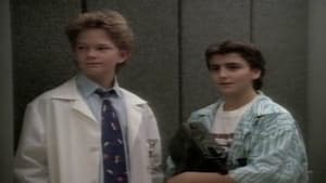 Doogie Howser, M.D. 1. évad Ep.7 7. epizód