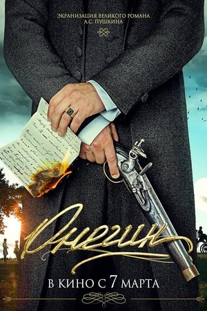 Онегин poszter
