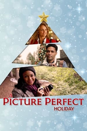 A Picture Perfect Holiday poszter