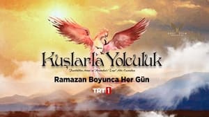 Kuşlarla Yolculuk kép