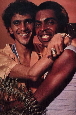 Tropicália poszter