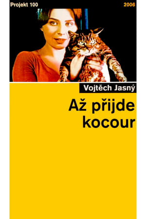 Až přijde kocour poszter