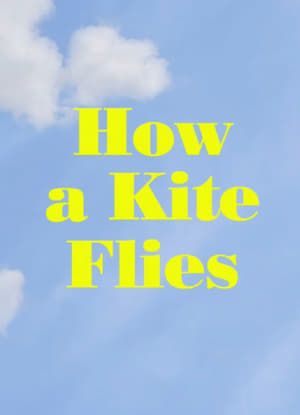 How a Kite Flies