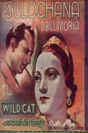 Wildcat of Bombay poszter