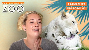 Une saison au zoo Season 9 Ep.2 2. epizód