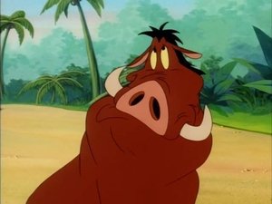 Timon és Pumba a Föld körül 3. évad Ep.7 Mese mese meskete