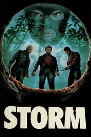 Storm poszter
