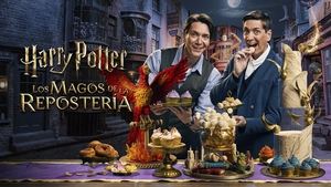Harry Potter: Sütivarázslók kép