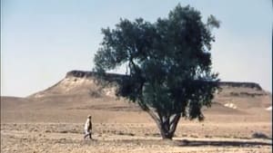 L'Olivier de Boulhilet háttérkép