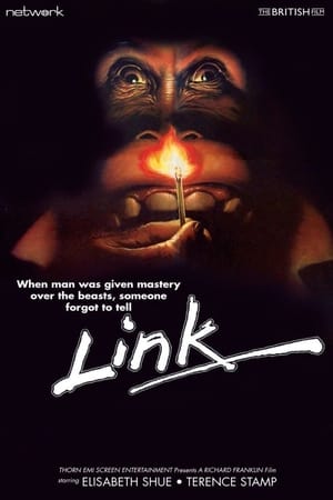 Link, a majom poszter