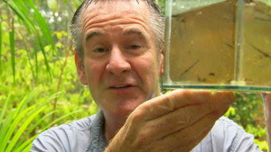Wild Colombia with Nigel Marven 1. évad Ep.2 2. epizód