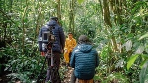 Los Guardianes de Machupicchu háttérkép