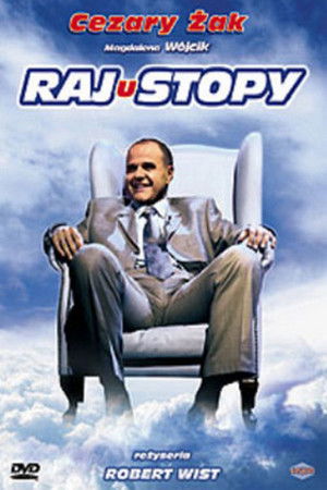 Rajustopy poszter