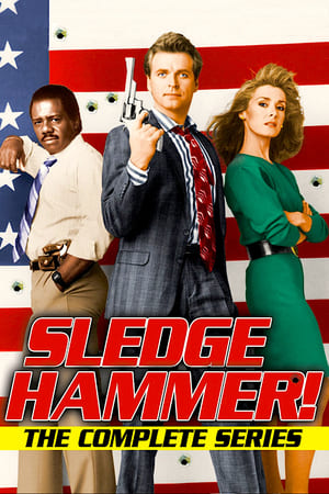 Sledge Hammer! poszter