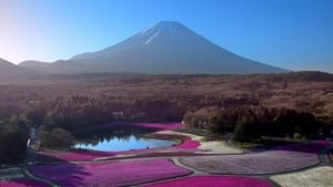 Japon, aux racines du soleil háttérkép