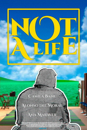 No es vida poszter