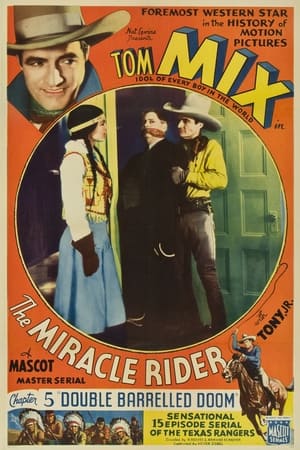 The Miracle Rider poszter