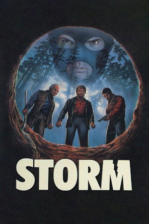 Storm poszter