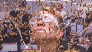 I'm a Celebrity...Get Me Out of Here! Season 18 Ep.16 16. epizód