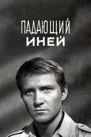 Падающий иней poszter