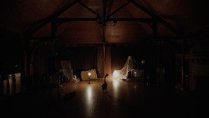 Ghost Goose háttérkép