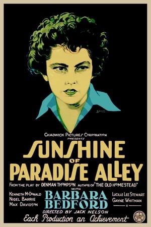 Sunshine of Paradise Alley poszter