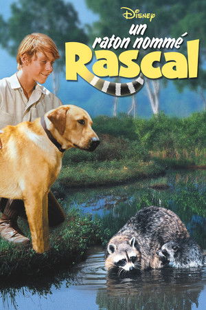 Rascal poszter