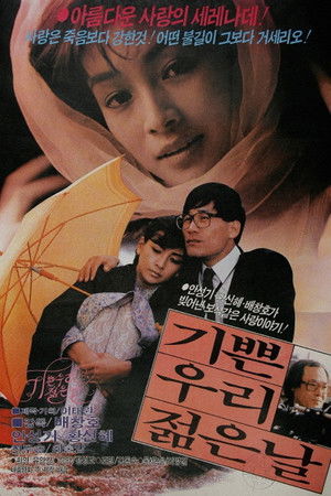 기쁜 우리 젊은 날 poszter