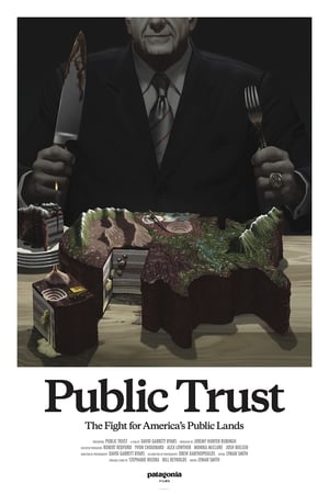 Public Trust poszter