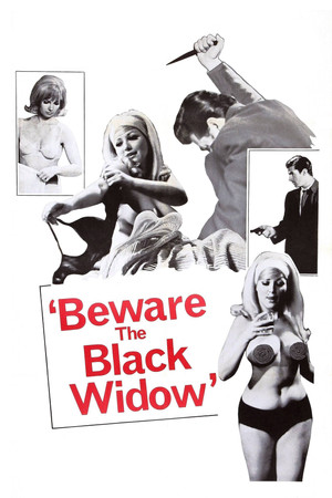 Beware the Black Widow poszter