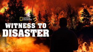 Witness to Disaster kép