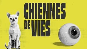 Chiennes de vies háttérkép