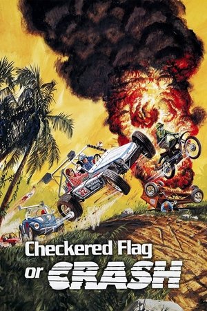 Checkered Flag or Crash poszter