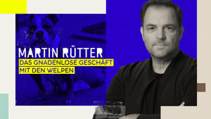 Martin Rütter – Das gnadenlose Geschäft mit den Welpen háttérkép