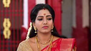சின்னதம்பி Season 1 Ep.132 132. epizód