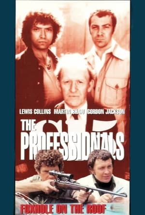 The Professionals poszter