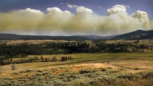 National Parks Exploration Series: Yellowstone háttérkép