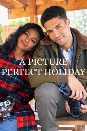 A Picture Perfect Holiday poszter