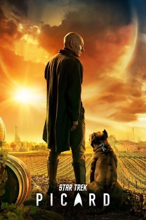 Star Trek: Picard poszter