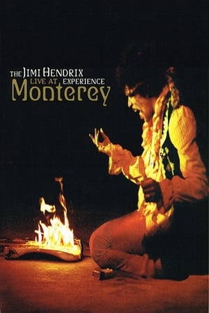 The Jimi Hendrix Experience: Live at Monterey poszter