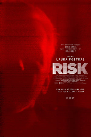 Risk poszter