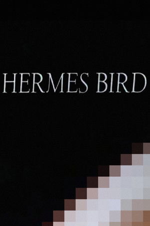 Hermes Bird poszter
