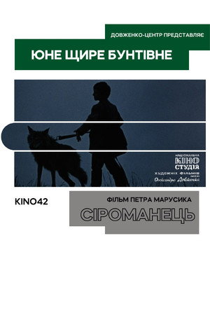 Сероманец poszter