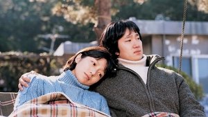 국화꽃 향기 háttérkép
