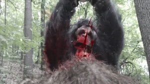 Frozen Sasquatch háttérkép