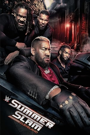 WWE SummerSlam poszter