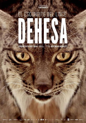 Dehesa: el bosque del lince ibérico poszter