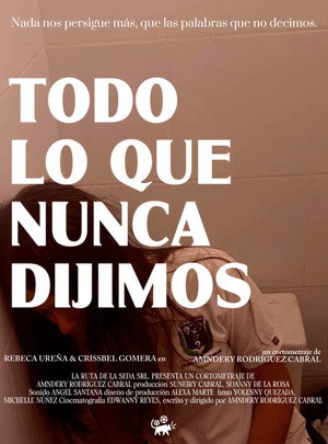 Todo Lo Que Nunca Dijimos poszter